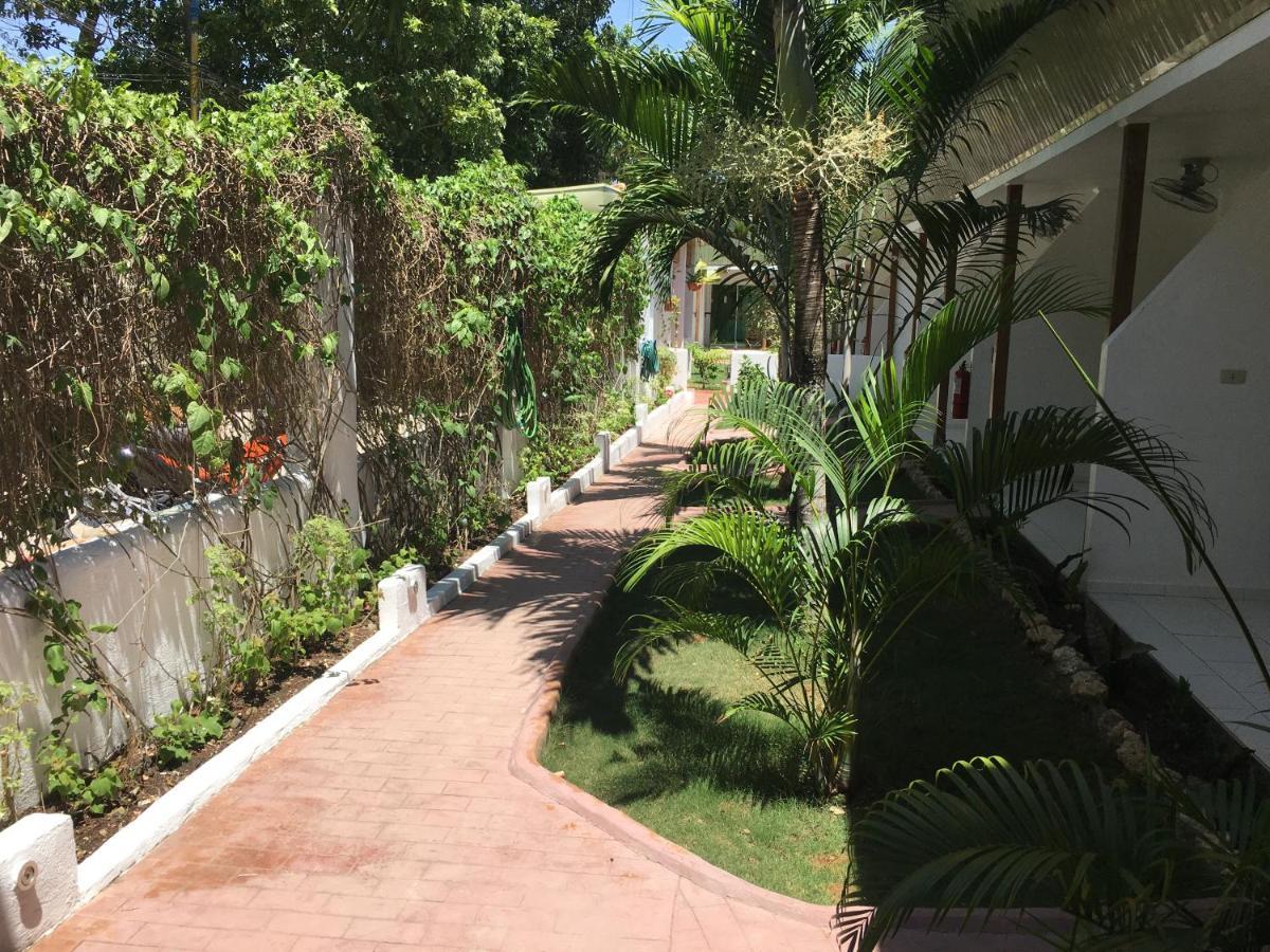 Alona Gecko Inn Panglao Bagian luar foto
