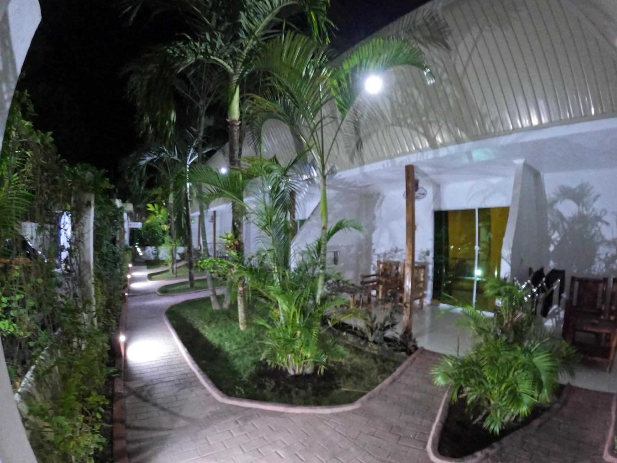 Alona Gecko Inn Panglao Bagian luar foto
